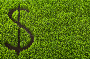 grass with dollar sign