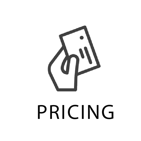 pricing icon