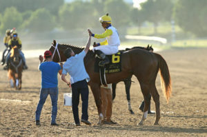 jockey on horse after race at lone star park