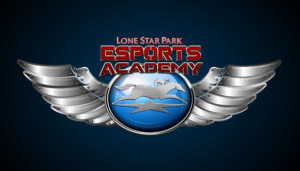 LSP ESPORTS academy